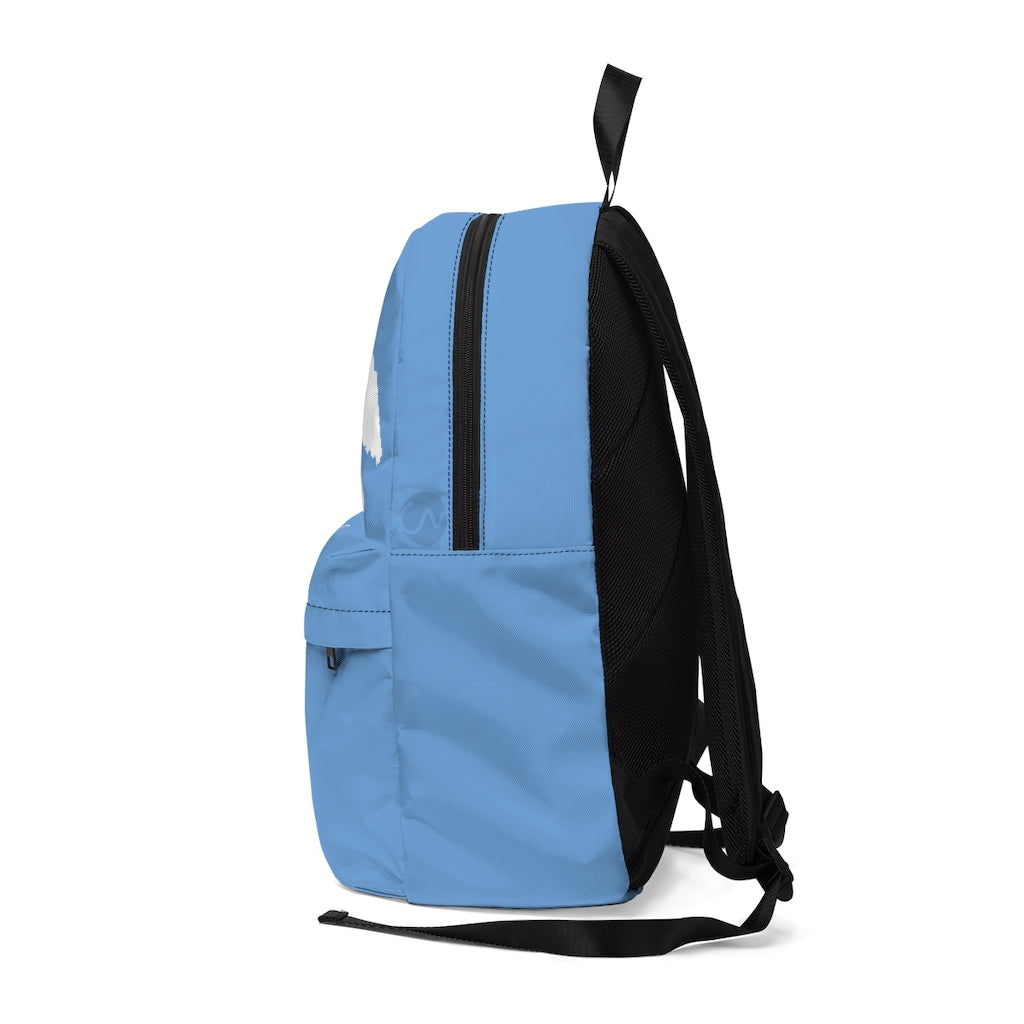 Aruban Backpack Male Blue